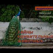 Николай Непомнящий Аудиокниги