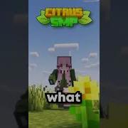 Video Viral Smp