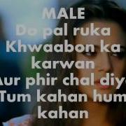 Do Pal Karaoke Instrumental Veer Zara
