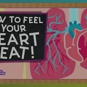 Science Beat
