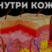 Звуки Солнца В Идеальной Чистоте Для Человека