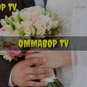 Туйлар Минус