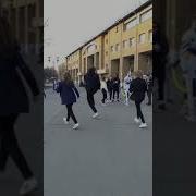 Gentleman Shuffle Next Level Tuzelity