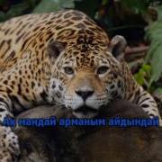 Курмаш Жан Сырым