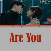 Are You 電視劇 我的時代 你的時代 插曲 Jin Wenqi