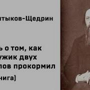 Как Один Мужик Двух Генералов Прокормил Аудиокнига
