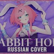 Rabbit Hole Sati