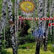 Соловей И Сова