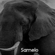 Consciousness Samelo