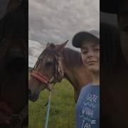 Horse Lover