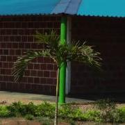 Carlos Flores Bmx Mallorca Wmv