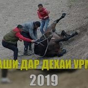 Бузкаши Дар Дехаи Урметани Нохияи Айни Соли 2019 Кисми 3