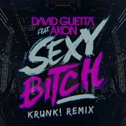 Sexy Bitch Remix