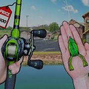 Bass