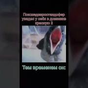 Аааа Птица Песня