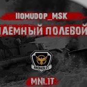 Помидор Наемный Полевой Mnl1T