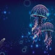 555Hz