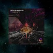 Richard Durand Tree Of Life Extended Mix Outburst