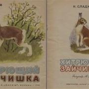 Хитрющий Зайчишка Н Сладков