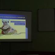 Физиология Животных