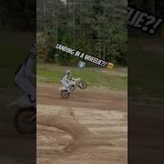 Wheely