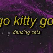 Go Kitty Go Tik Tok