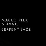 Maceo Plex Avnu Serpent Jazz Lone Romantic