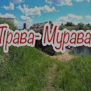 Ах Трава Мурава