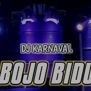 Dj Bojo Biduan Karnaval