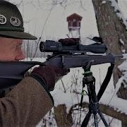 По Следам Дикого Зубра