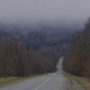 Сиреневый Туман Шуфутинский