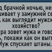 Сборник 2024