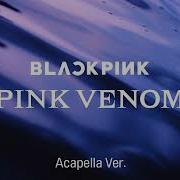 Blackpink Pink Venom Acapella