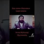 Мубашир Муслим Ёр