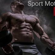 Timtaj Sport Motivation