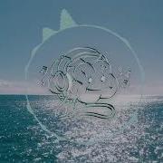 Don T Shy Away Never Dull Remix