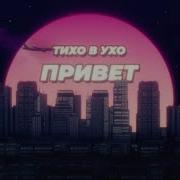 Бакр Привет