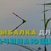 Азы Рыбалки