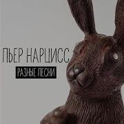 Пьер Нарцисс Круче