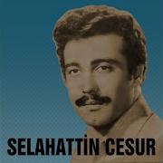 Selahaddin Cesur Ask Çobanı