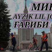 Минусаи Гариби