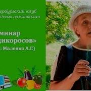Лесная Аптека Дикоросы Лекция