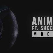 Anima Moon