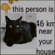 This Person Is 100Km Near Your House Cat