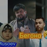 Голиб Шов 2024