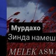Мелек Асма Мурдахо Зинда Намешан