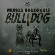 Bull Dog Munga Honorable
