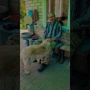 Песня Зимой В Деревне