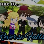 Reverse Falls