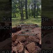 Светланатеребилина Стихи
